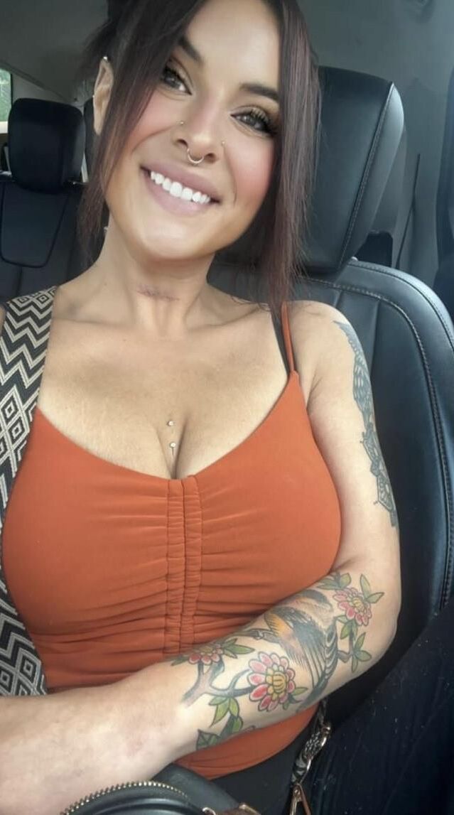 Cerdo con tetas holgadas