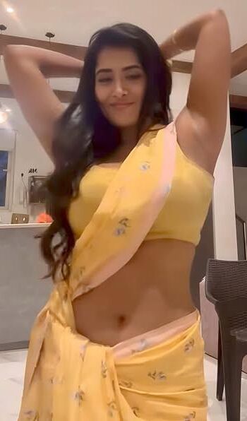 Hardcore und Softcore (Desi indische Tanten und MILF)