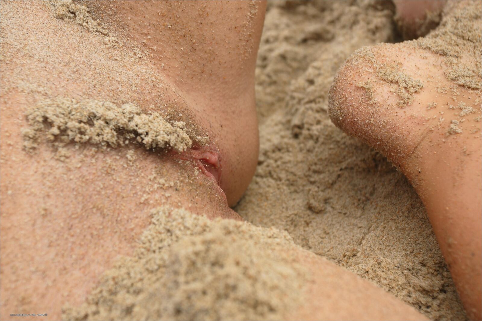 MPLStudios ANUETTA Body parts and seashells