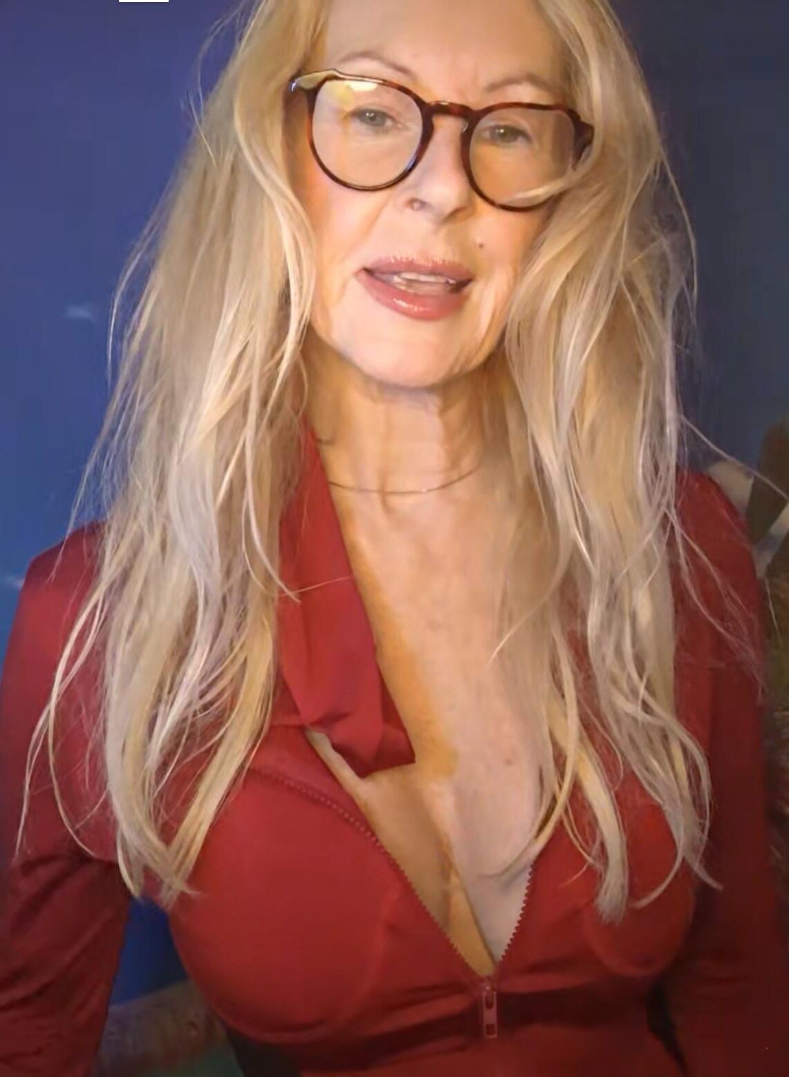 ネットの女