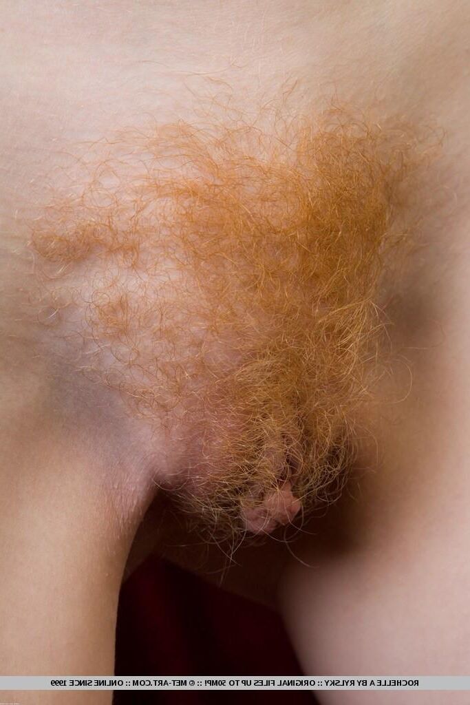 Pussy pics Hairy pussy 