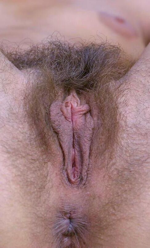 Pussy pics Hairy pussy 