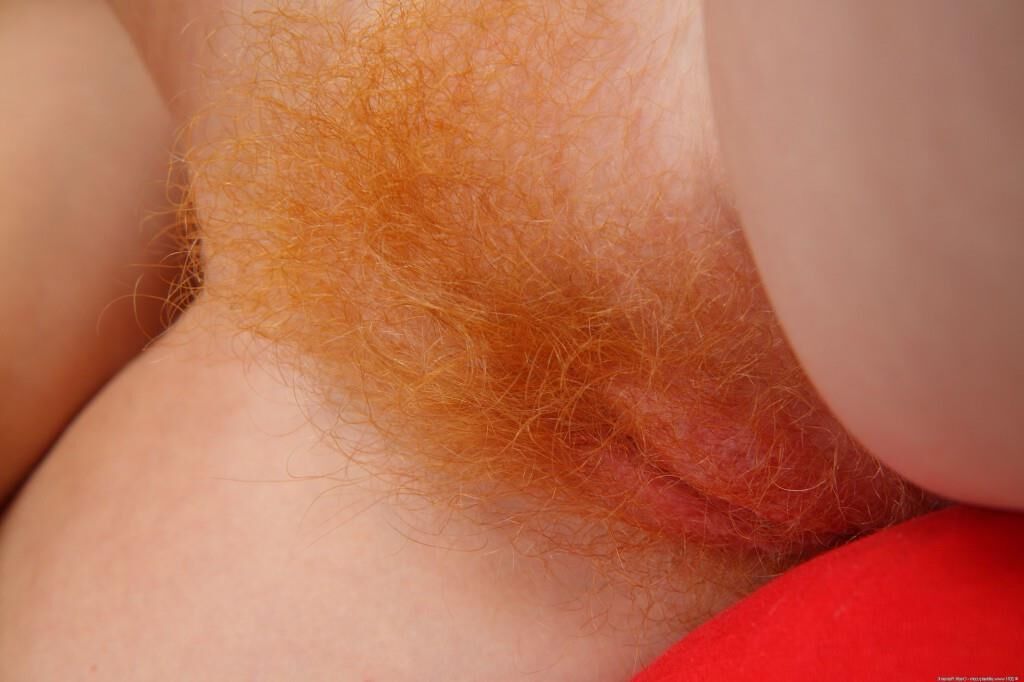 Pussy pics Hairy pussy 