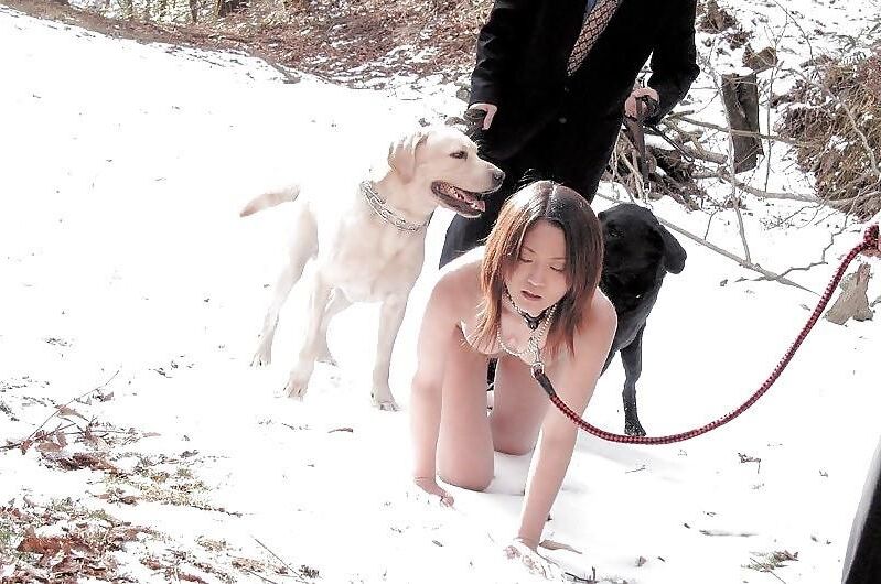 Ella está con una correa para perros.