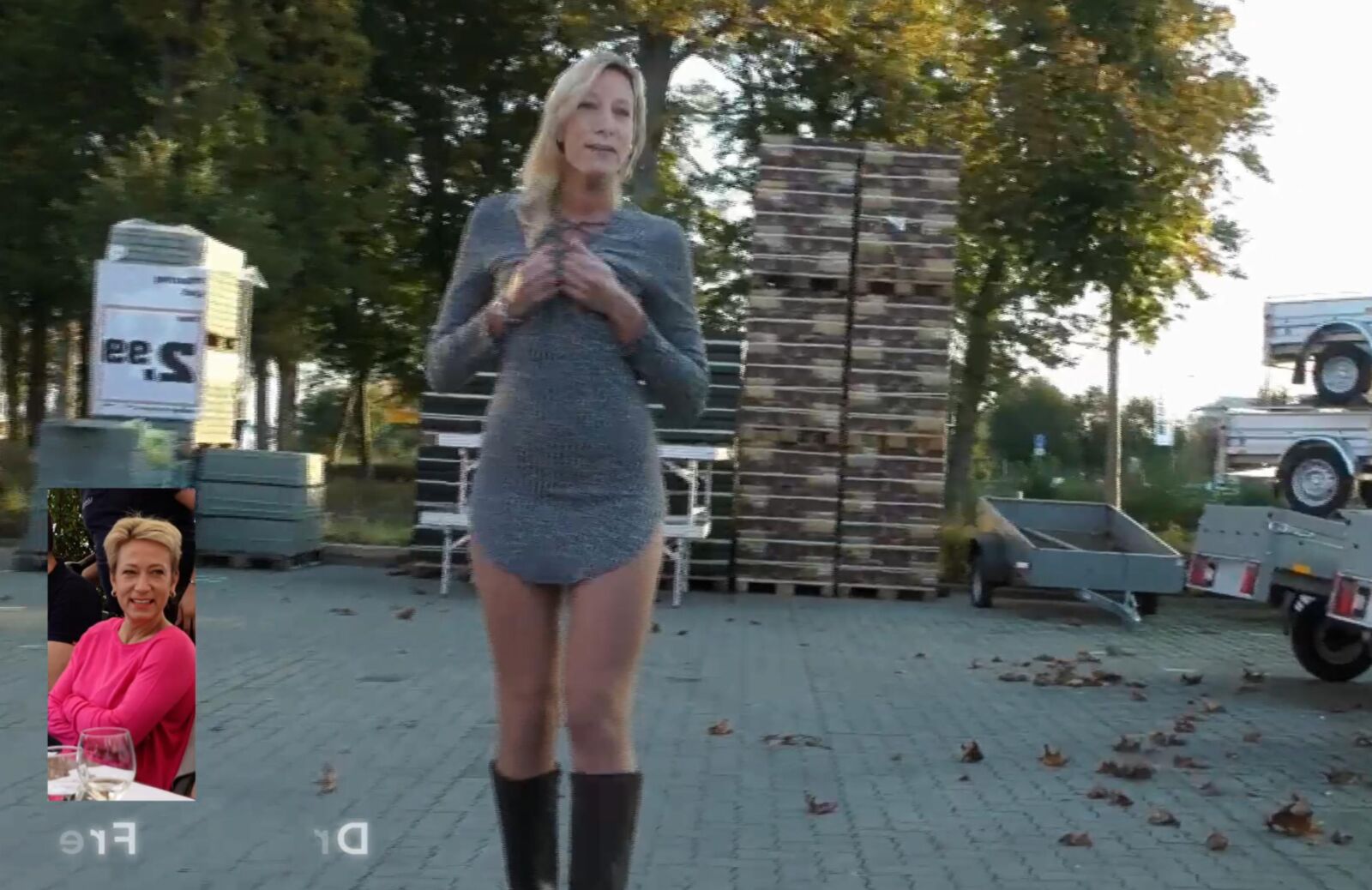 Pornosau Dr. NINA FREI