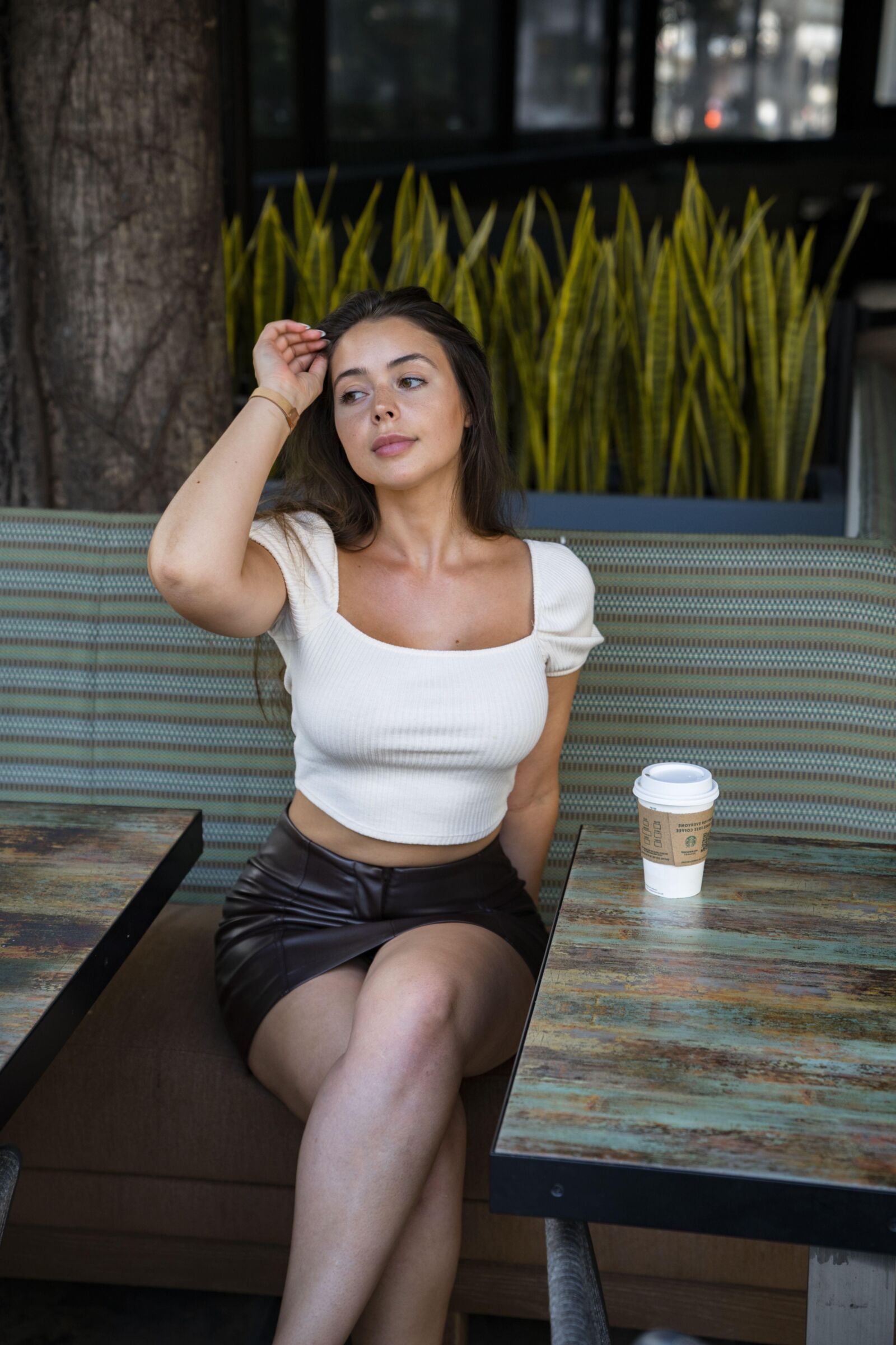 Promoción, modelo y cuadrícula