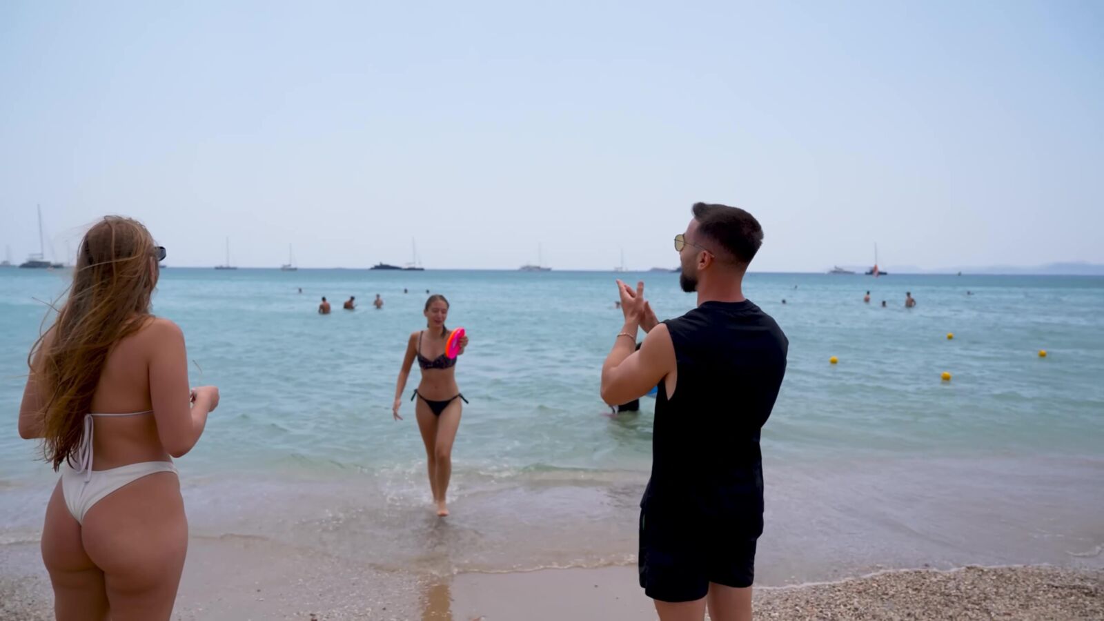 Perras griegas en la playa verano