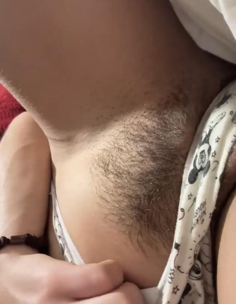 スタイリッシュな猫cxxxvi