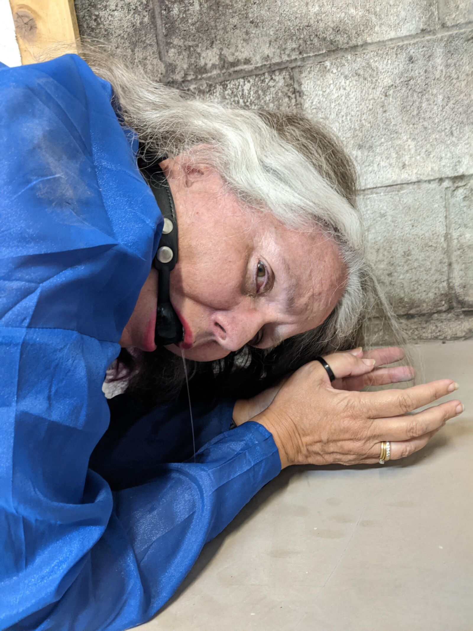 Salope liée, bâillonnée, mise en cage et transportée