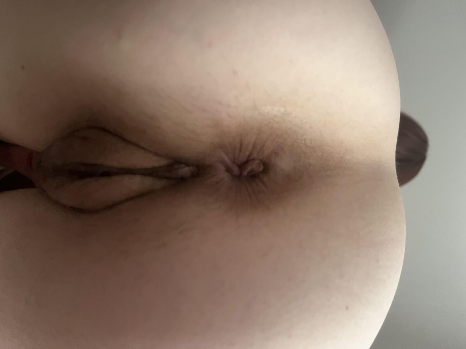 Housewife Butthole hoy (agosto de)
