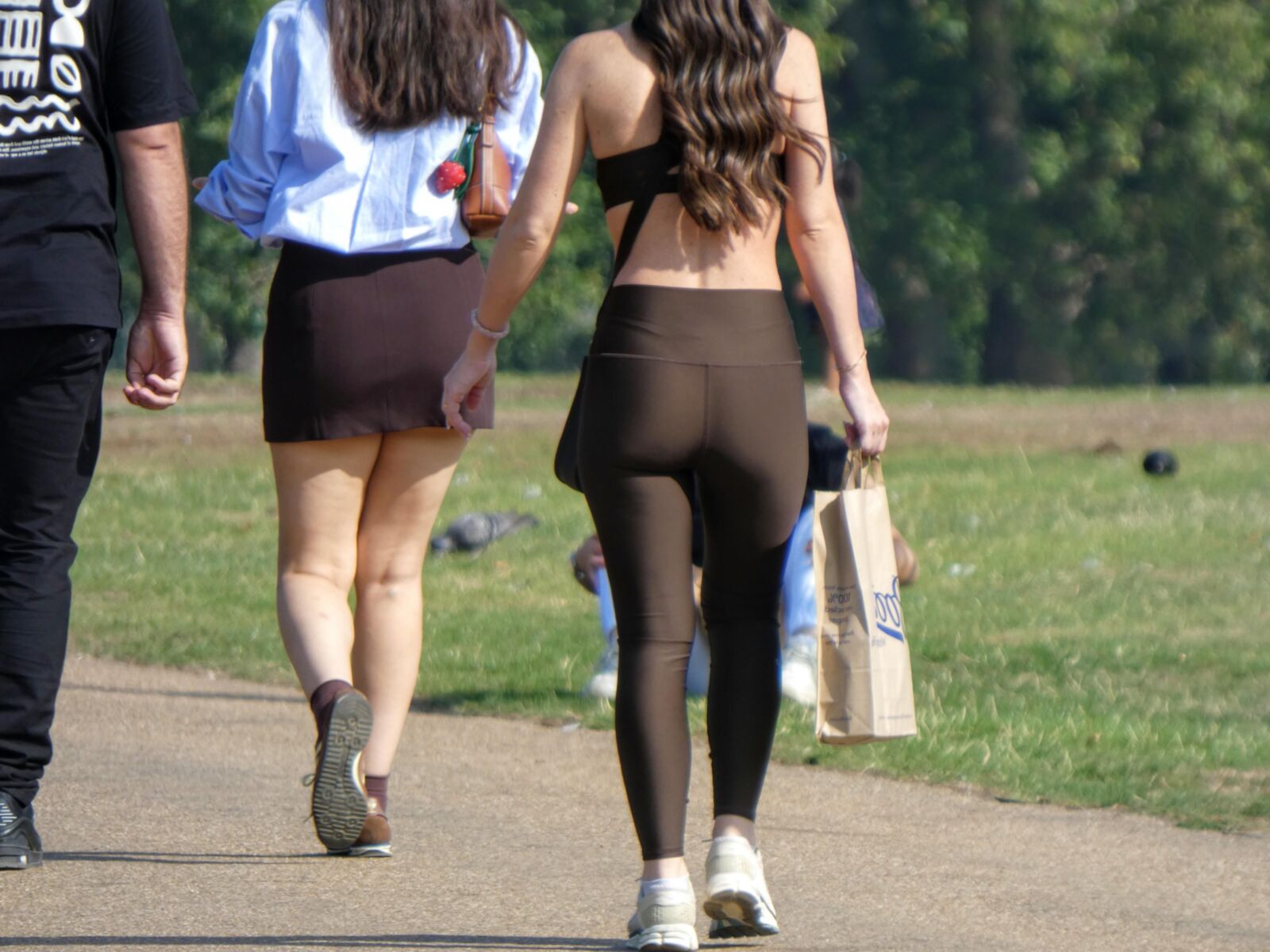 Pert VPL