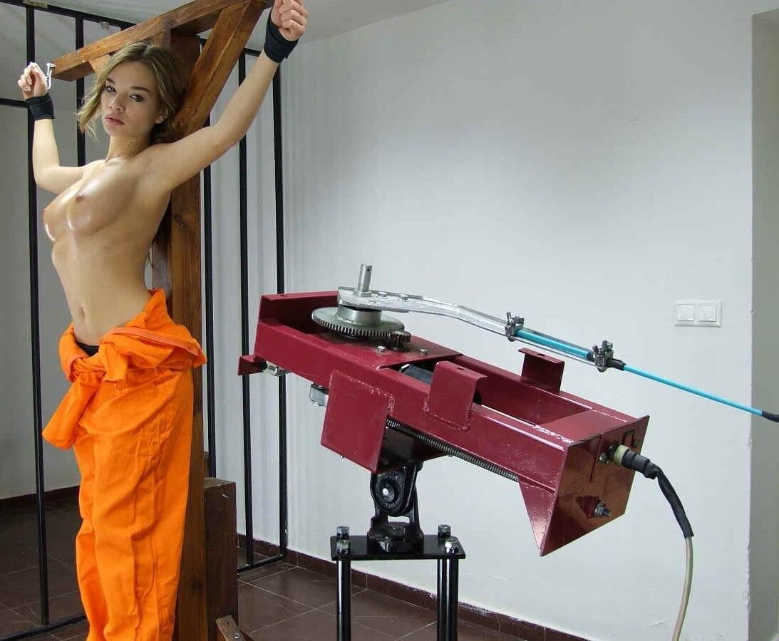 Slut Training 