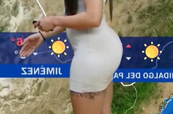 NALGOTAS LUCI BLANCA