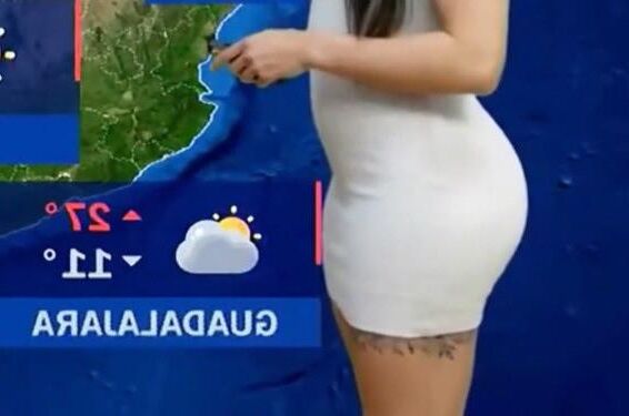 NALGOTAS LUCI BLANCA