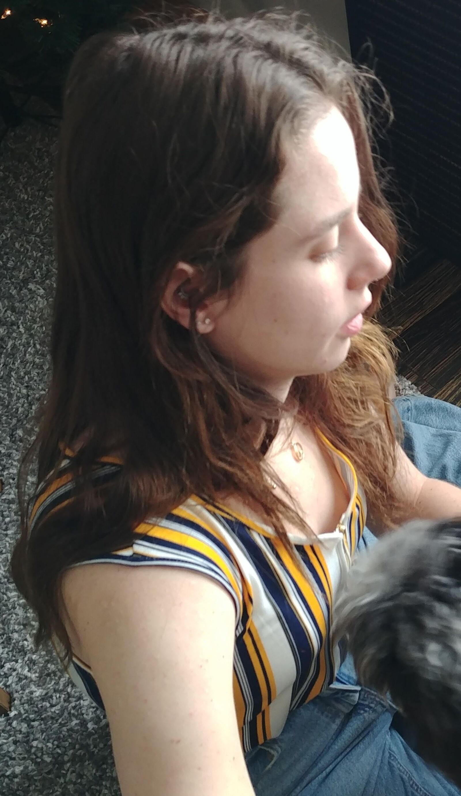 Mein Sil Voyeur