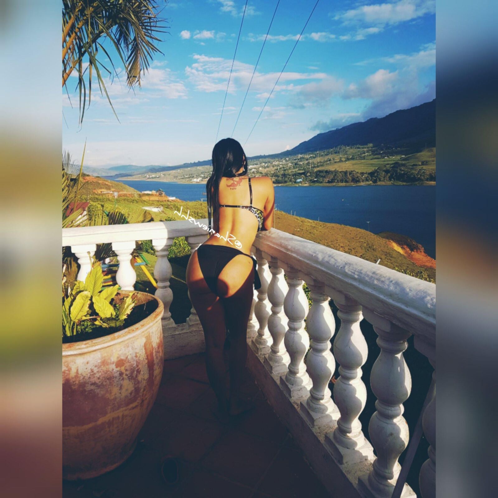 Shanie Gaviria Big Boobs and Butts