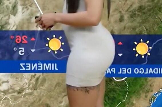 NALGOTAS LUCI BLANCA