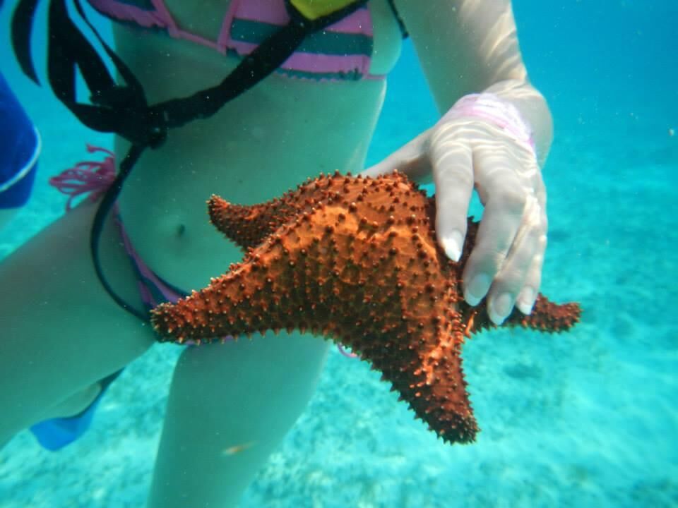 Mon ex en bikini