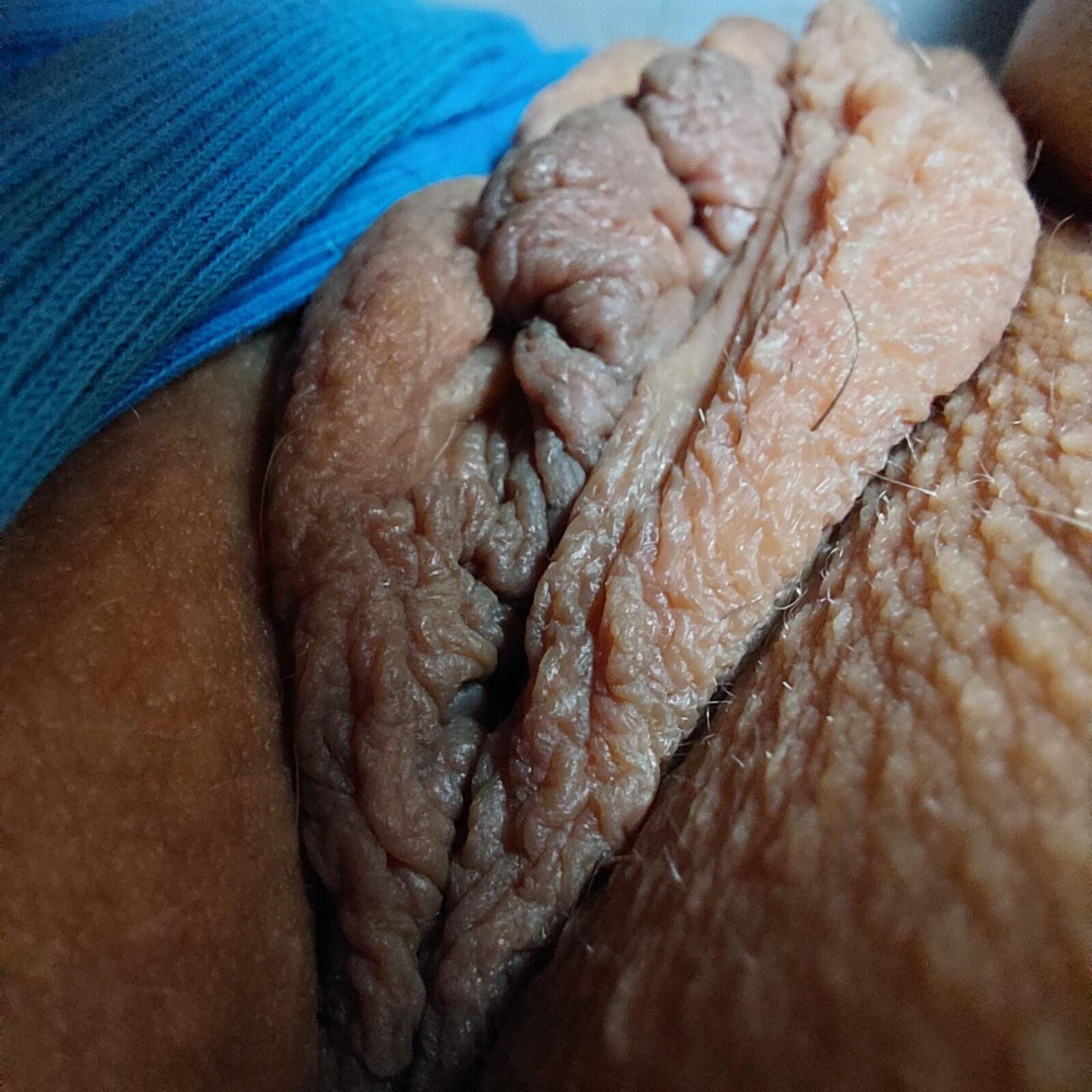 Fertiliser mon gros mollusque visqueux s'il vous plaît