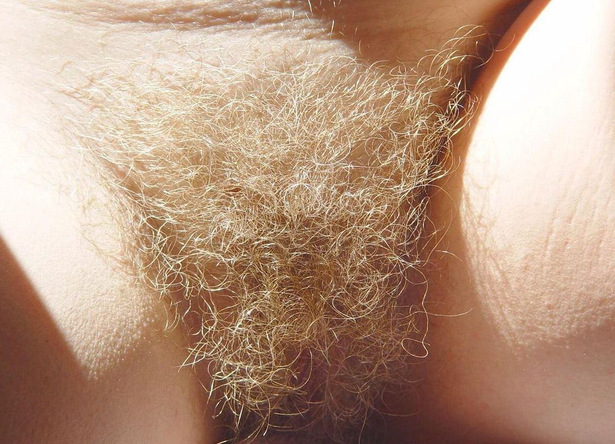 Brousse blonde