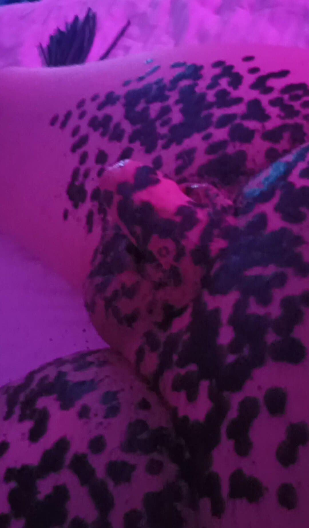 Sesión femboy con Mistress / Wax Play / Anal Play / Collar