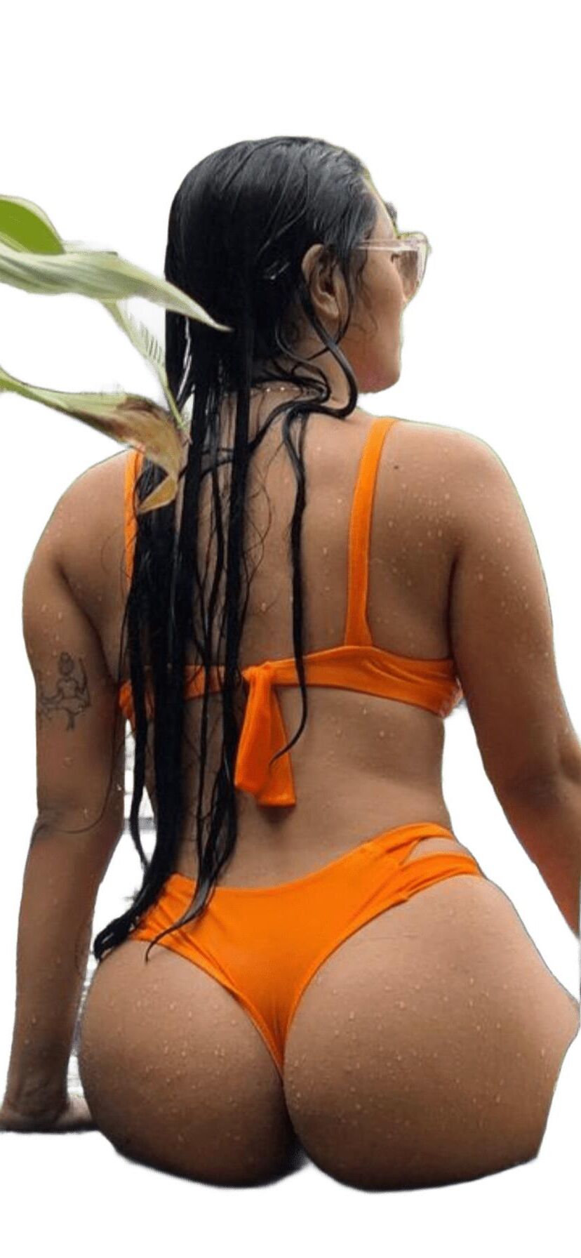 Adesivos de bunda grande e fofa e fofos