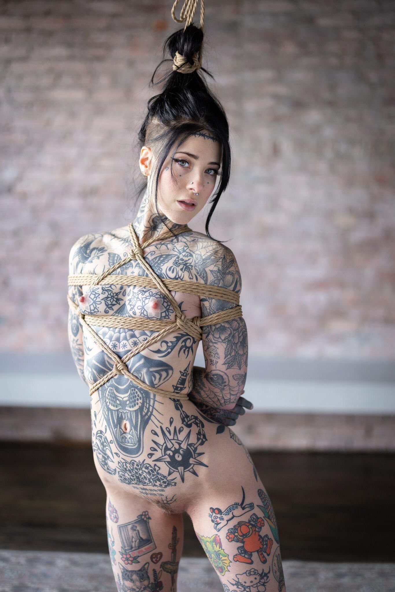 Awlivv LATEX