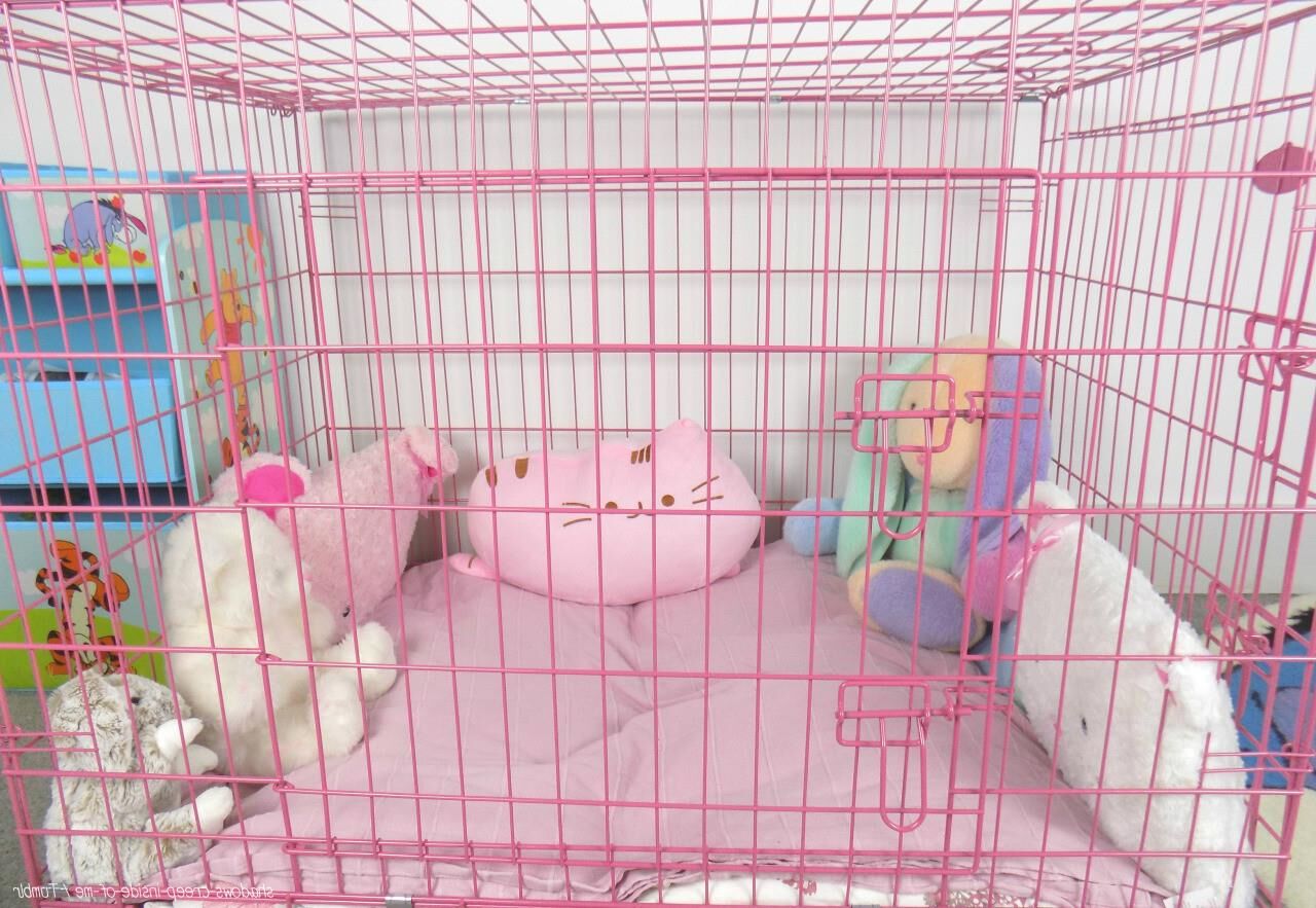 Inspiração no petplay