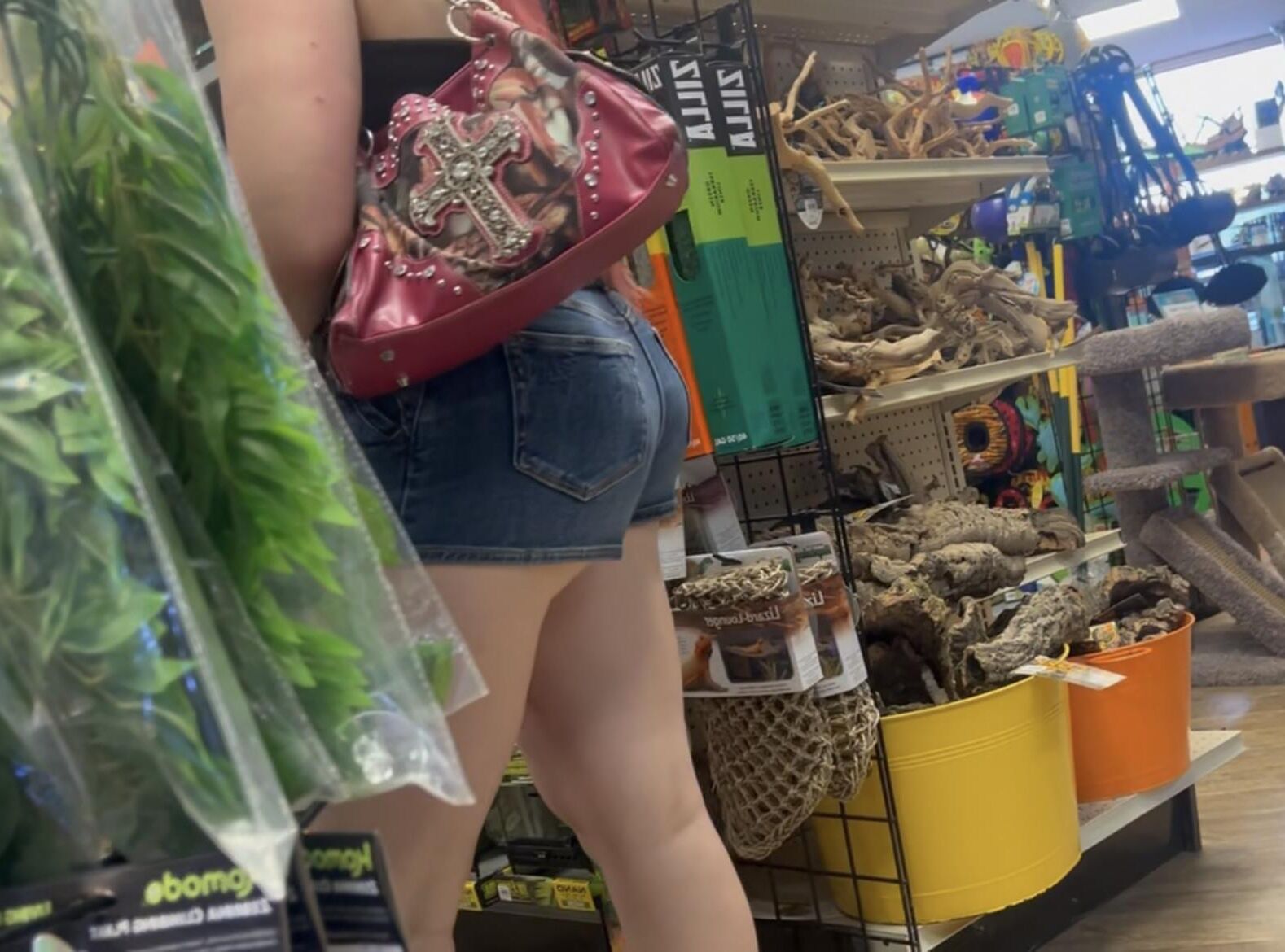 Meninas sinceras aleatórias ao longo do meu dia