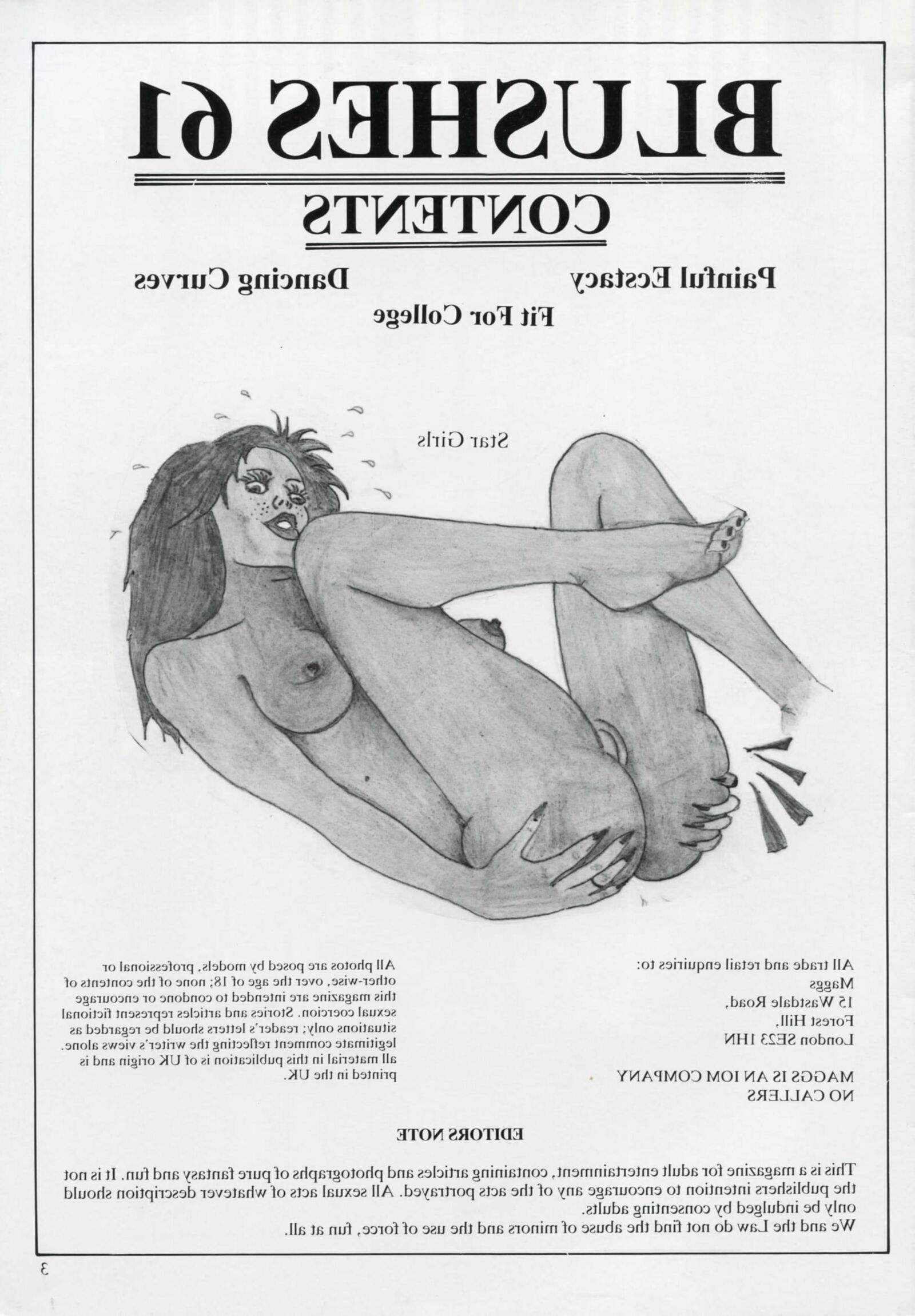 Retro Spanking Blushes Issue completo