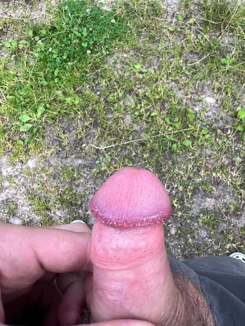 porra de porra meine meina