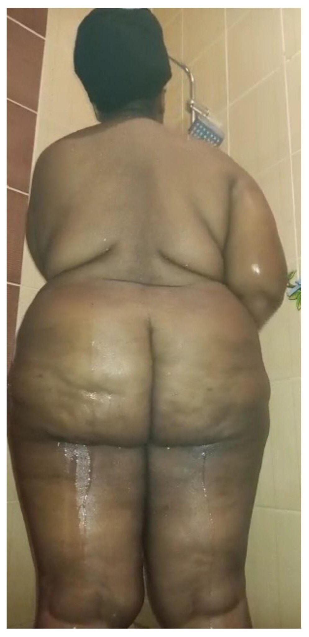 BBWS