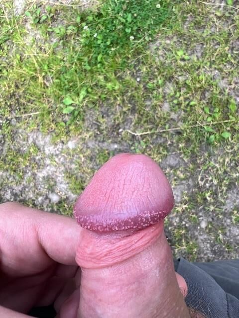 porra de porra meine meina
