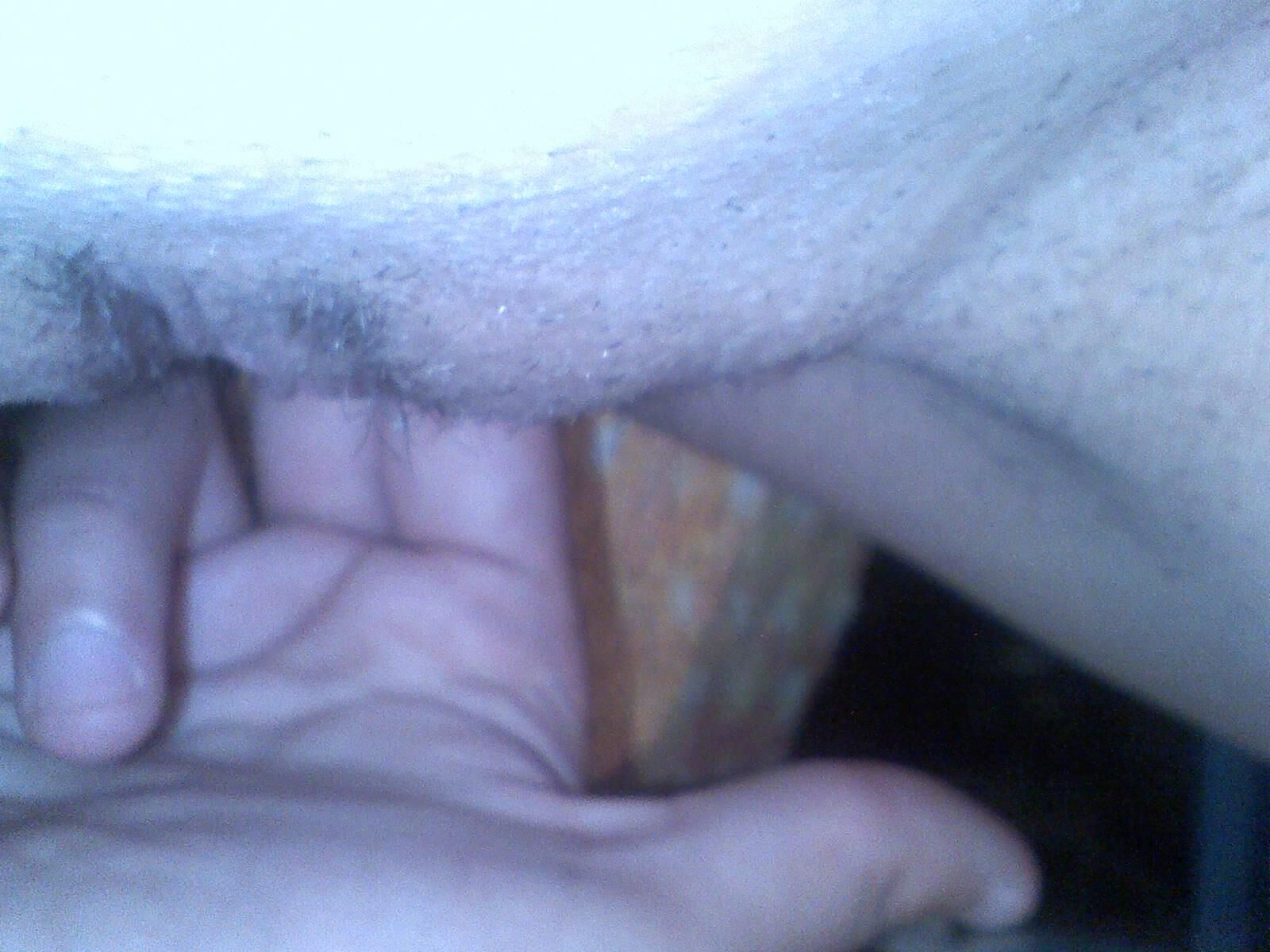 Coño aficionado