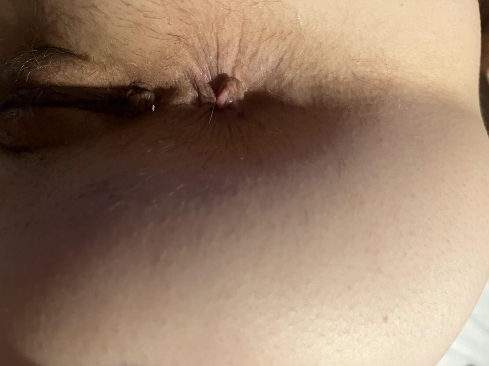 Housewife Butthole hoy (agosto)