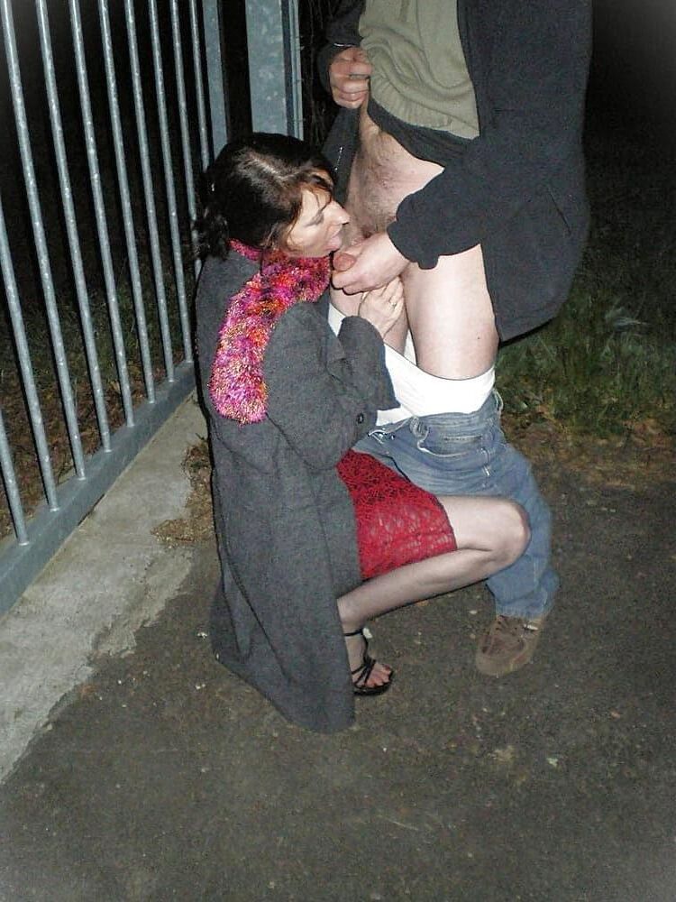 Perrito hotwife