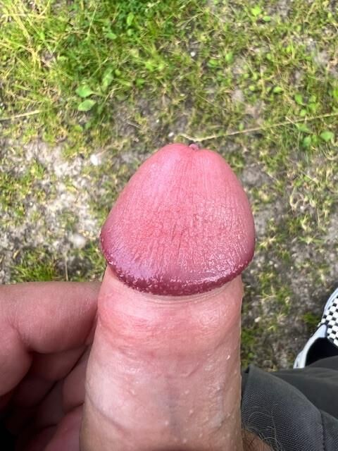 porra de porra meine meina