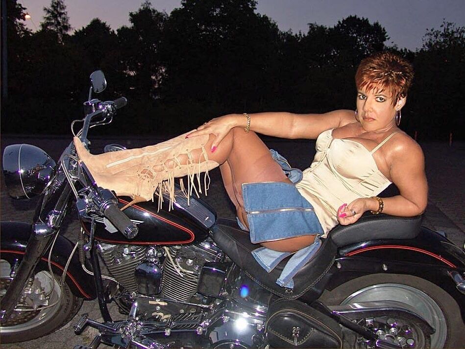 The Bitch Milf Collection vol