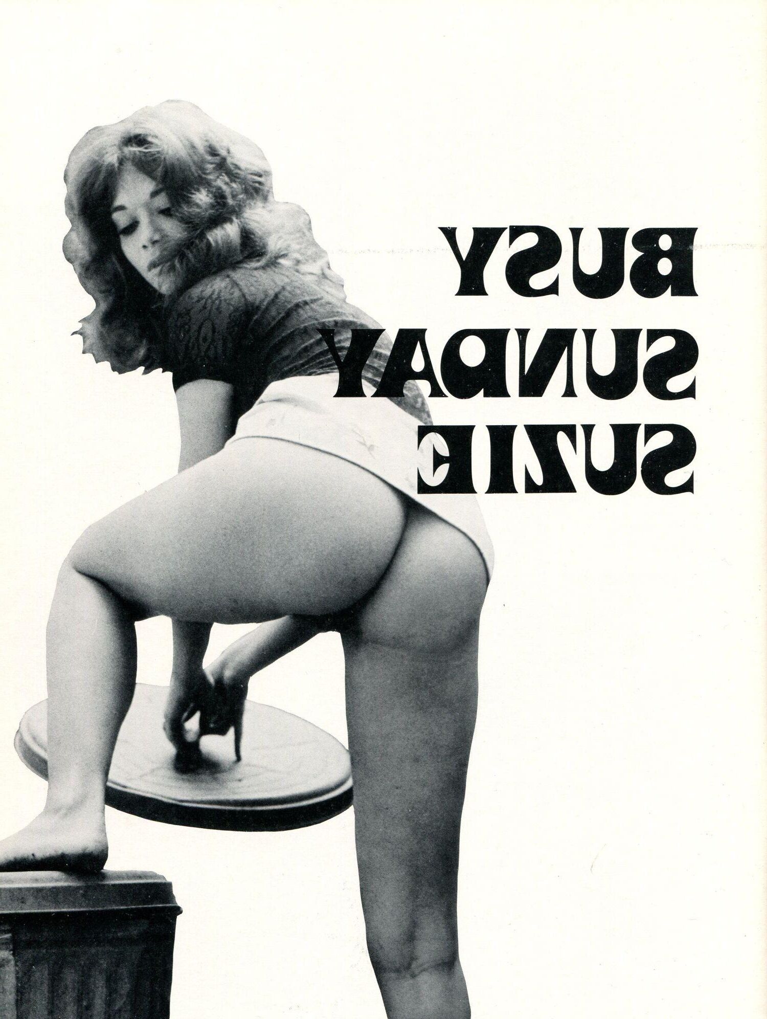 asilo de bunda de vibracolor