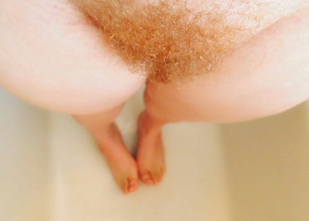 素敵な茂み