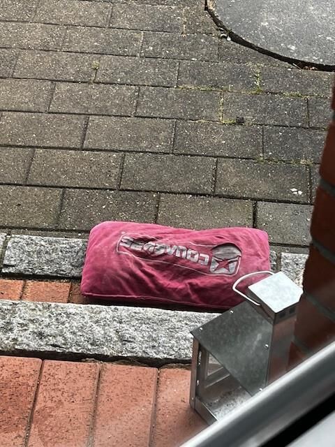 マイネ・メイナ