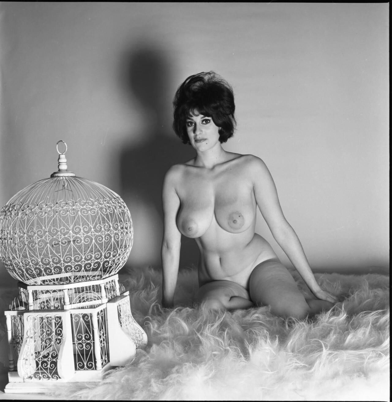 Wolf Vintage Charming Beauties Group