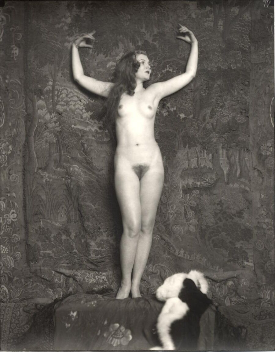 Wolf Vintage Charming Beauties Group