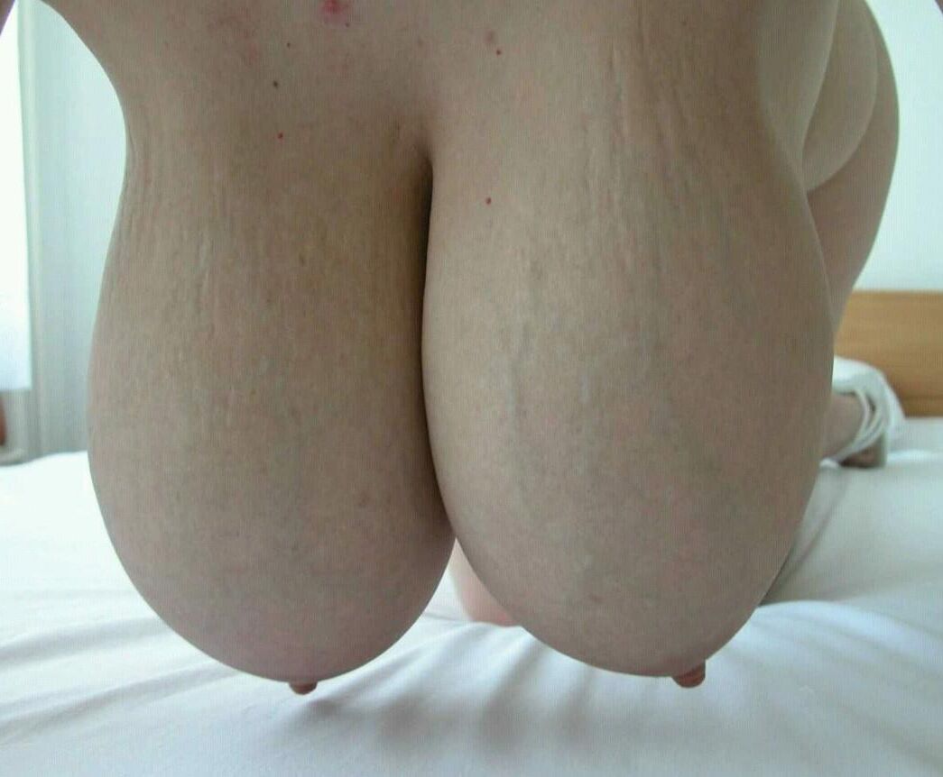 Seins