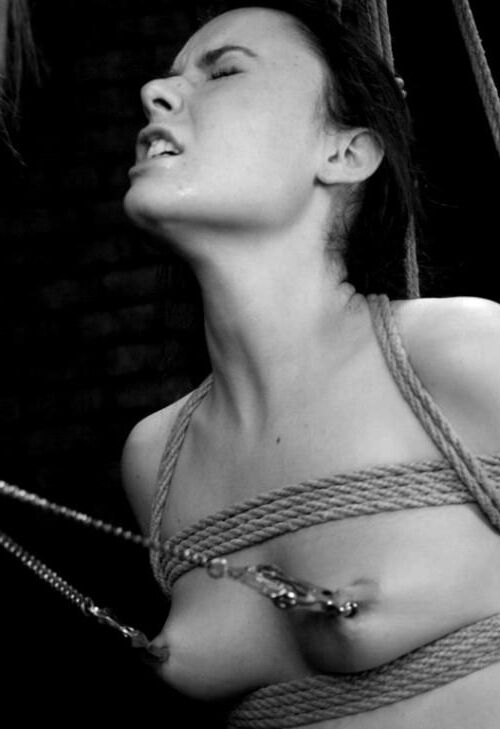 B/W Assortment