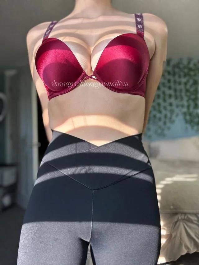 美しいブラジャーとその胸