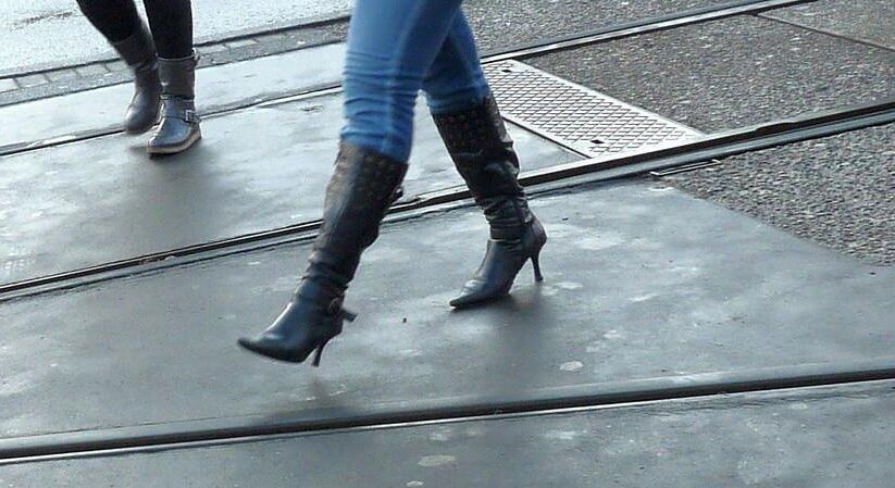 Maxboots Gusanito Lames Cazaboots