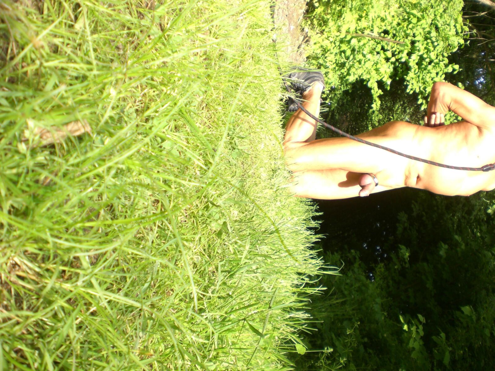slave pet outdoor with leash