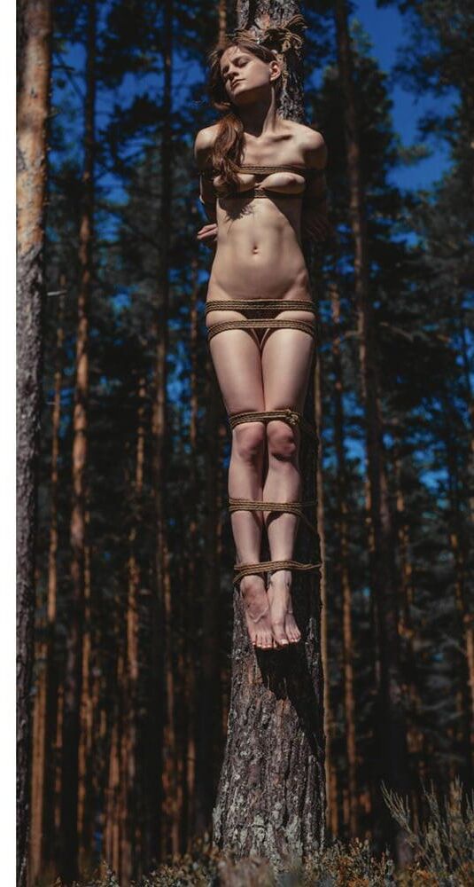 Captives 