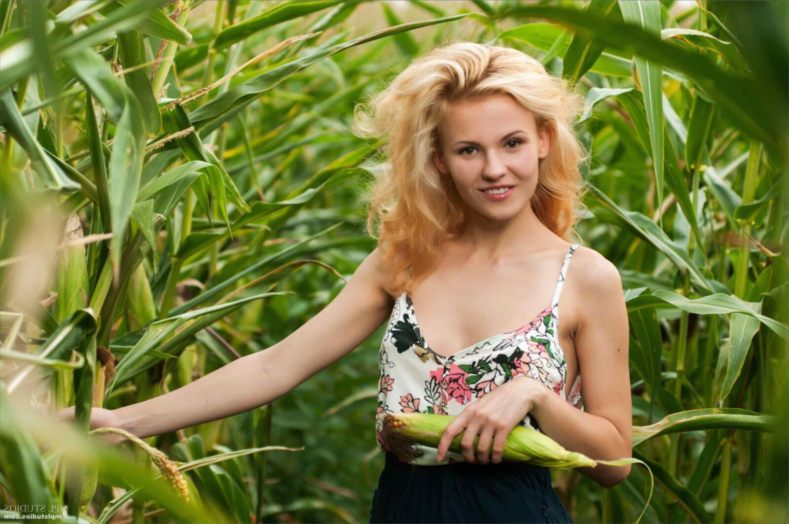 MPLStudios MINA Cornfield